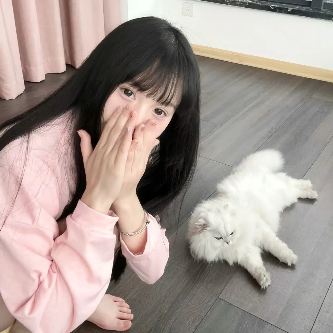 踏血寻梅